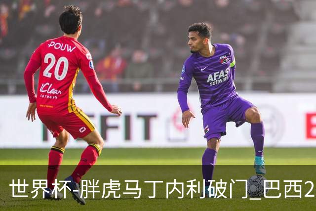 世界杯-胖虎马丁内利破门 巴西2-1逆转读秒绝杀日本