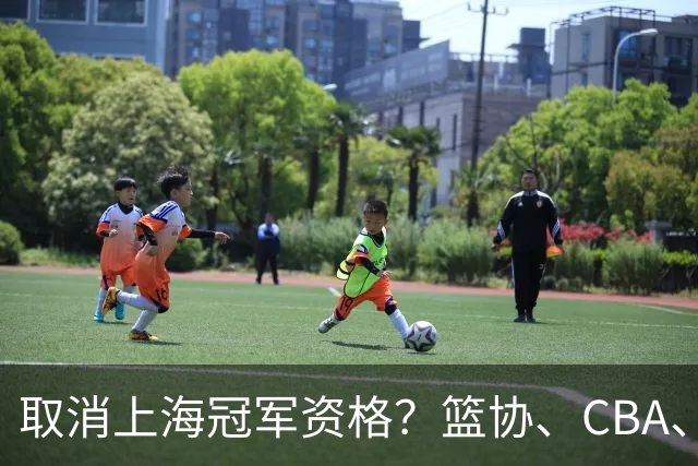 取消上海冠军资格？篮协、CBA、上海三方表态，处罚结果即将公布