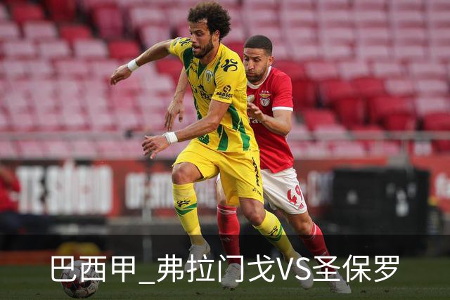 巴西甲 弗拉门戈VS圣保罗