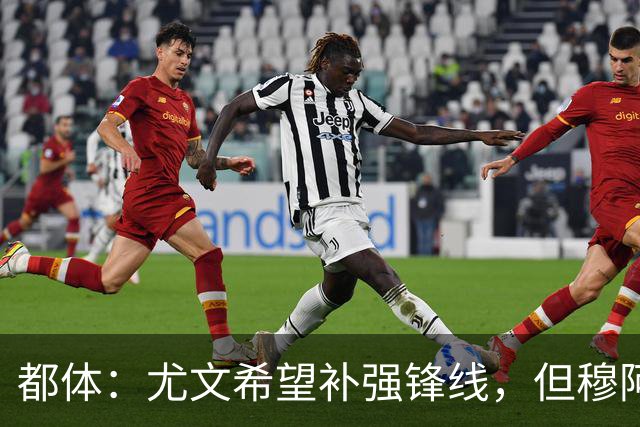 都体：尤文希望补强锋线，但穆阿尼和佩莱格里诺只能二选一