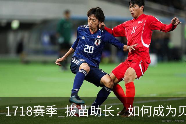 17/18赛季 拔苗助长：如何成为贝林厄姆的队友